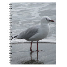 Seagull by the Sea