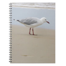 Seagull by the Sea