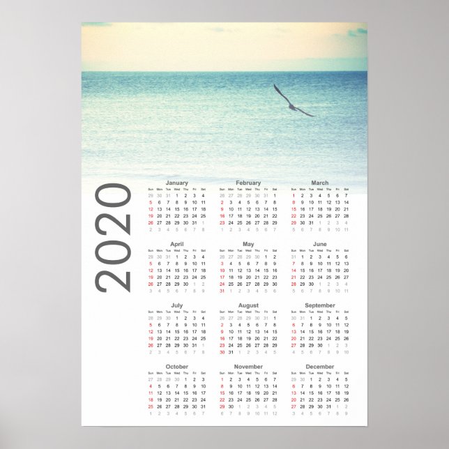 Seagull Calendar 2020 Poster (Front)