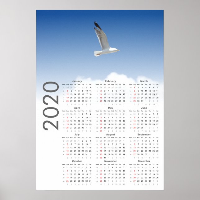 Seagull Calendar 2020 Poster (Front)