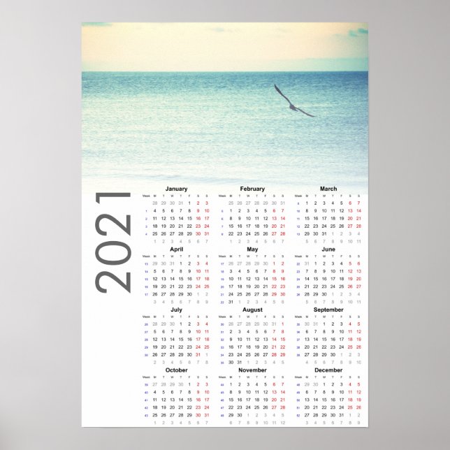 Seagull Calendar 2021 Poster - Monday first (Front)