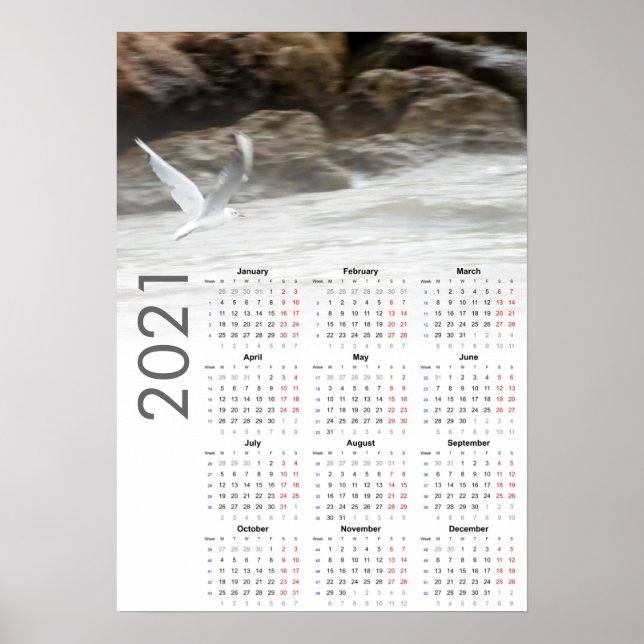 Seagull Calendar 2021 Poster - Monday first (Front)