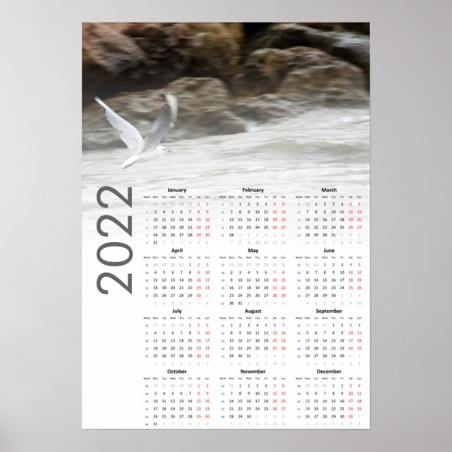Seagull Calendar 2022 Poster - Monday first (Front)