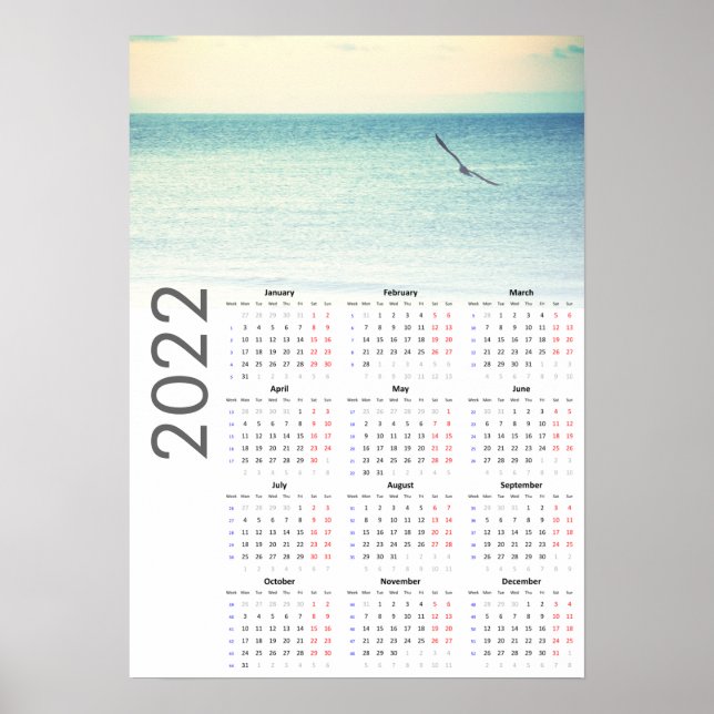 Seagull Calendar 2022 Poster - Monday first (Front)