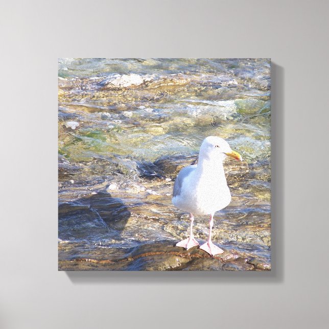 seagull canvas print (Front)