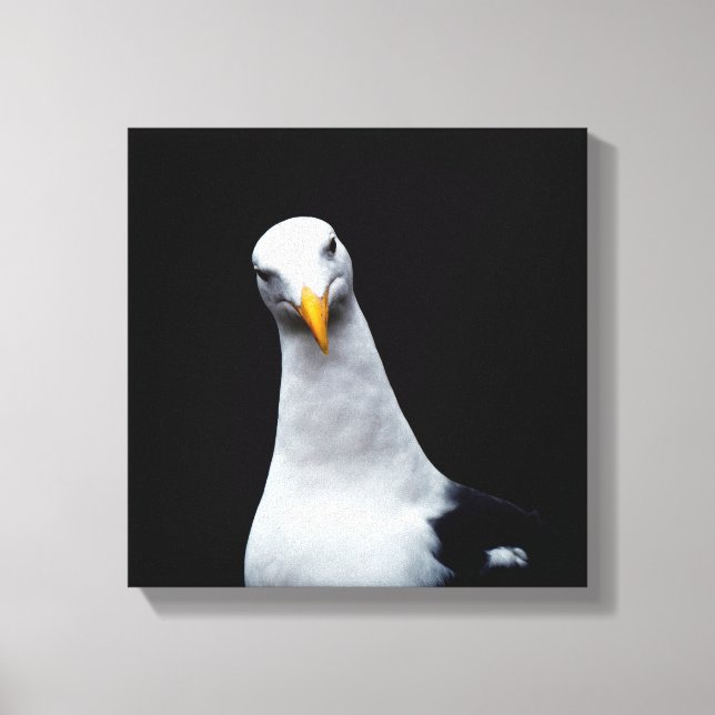 Seagull Canvas Print (Front)