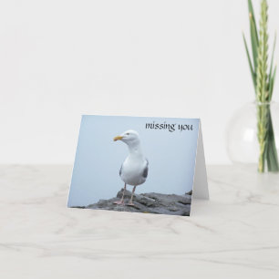Seagull Card