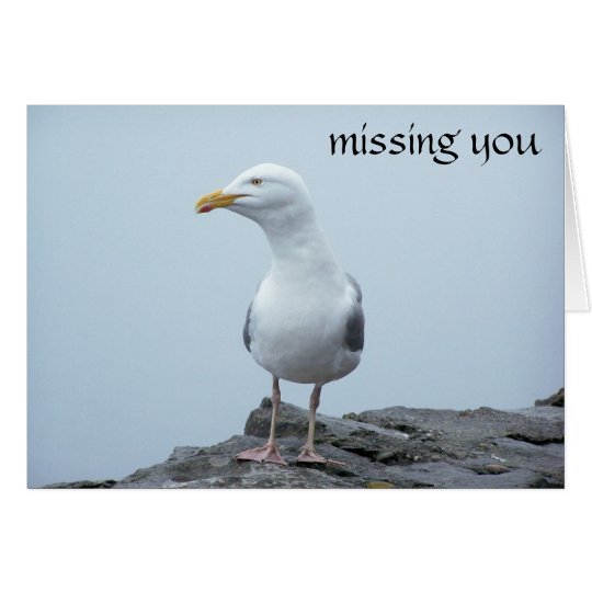 Seagull Card