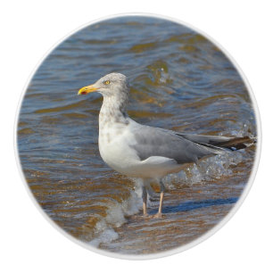 Seagull Ceramic Knob