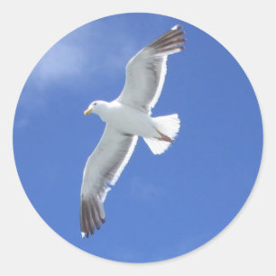Seagull Classic Round Sticker
