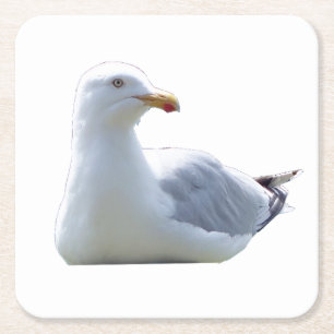 Seagull Coastal Bird Wildlife Ocean Beach Scene Square Paper Coaster