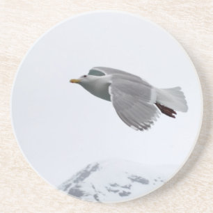 Seagull Coaster