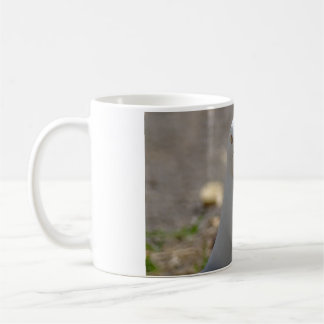 Seagull Coffee Mug