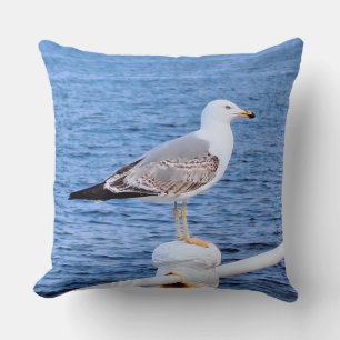 Seagull Constanta Romania – Black Sea Photography Cushion