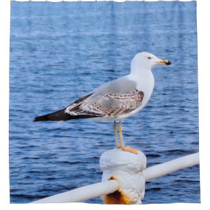 Seagull Constanta Romania – Black Sea Photography Shower Curtain
