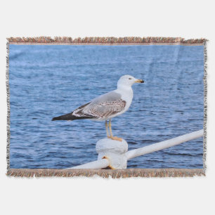 Seagull Constanta Romania – Black Sea Photography Throw Blanket