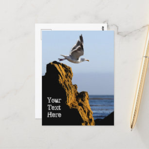 Seagull Departs  Postcard