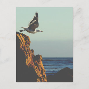 Seagull Departs Postcard