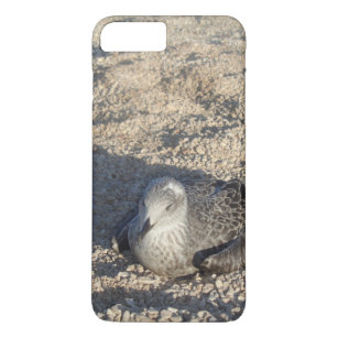 Seagull Enjoying The Sun Summer Photography Case-Mate iPhone Case