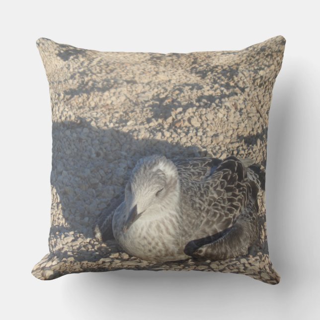 Seagull Enjoying The Sun Summer Photography Outdoor Cushion (Front)