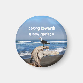 Seagull facing the sea magnet