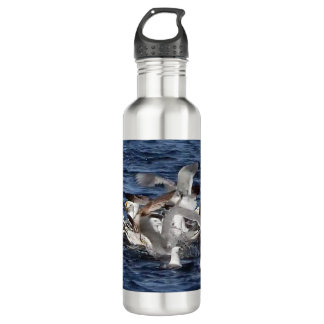 Seagull Feeding Frenzy  710 Ml Water Bottle