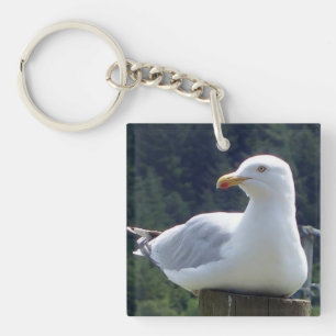 Seagull Fence Post Woodland Wildlife Serenity Art Key Ring