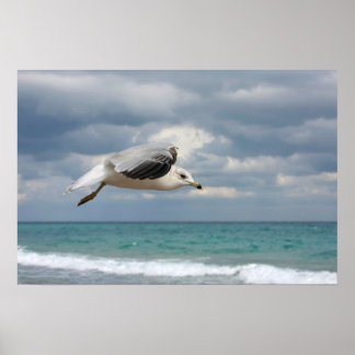 Seagull Flight Poster