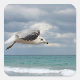 Seagull Flight Square Sticker