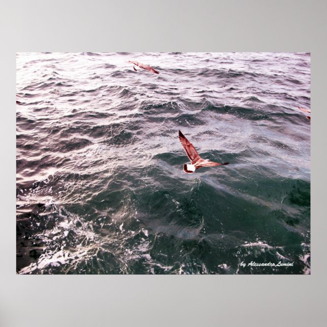 SEAGULL FLYING OVER THE WAVES POSTER (Front)