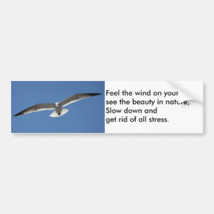 Seagull Flying Poem Bumper sticker