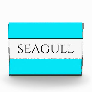 SEAGULL Fun Bright Pretty Sky Blue White Stripes Photo Block
