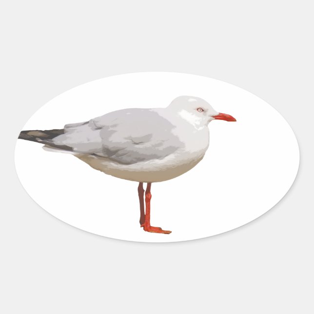 Seagull graphic design oval sticker (Front)