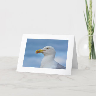 Seagull Greetings Card