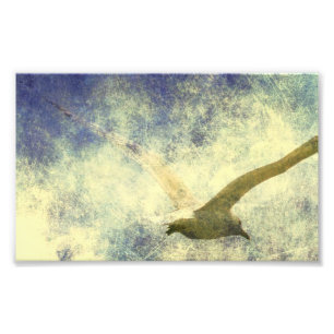 Seagull Grunge Photo Print