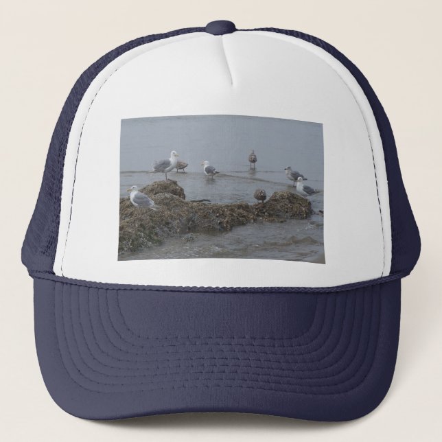 Seagull Hat (Front)