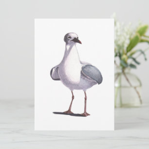 Seagull Holiday Card