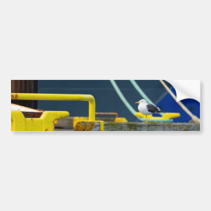 Seagull in an abstract environment bumper sticker