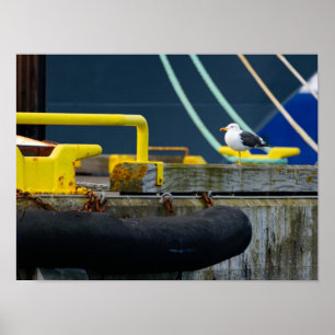 Seagull in an abstract environt poster