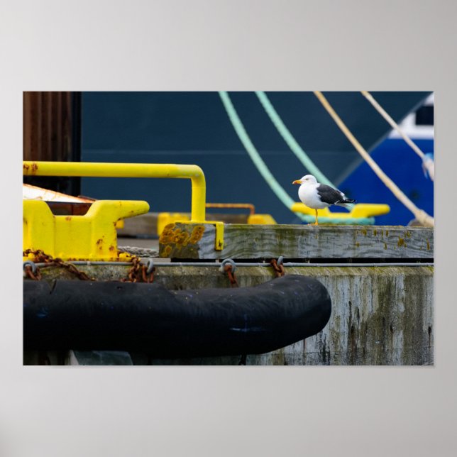 Seagull in an abstract environt poster (Front)