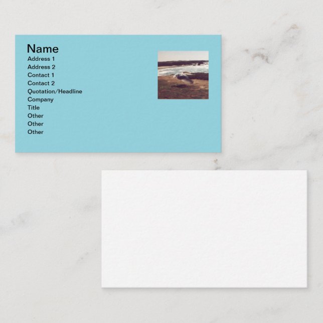Seagull in Flight Business Cards (Front/Back)