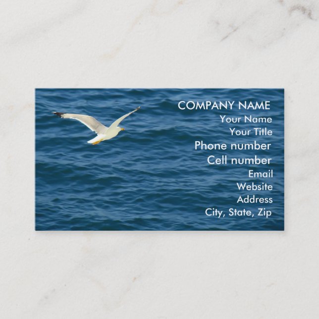 Seagull in Flight over Water Business Card (Front)