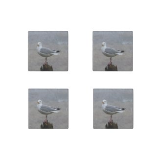Seagull in Snow Marble Stone Magnet