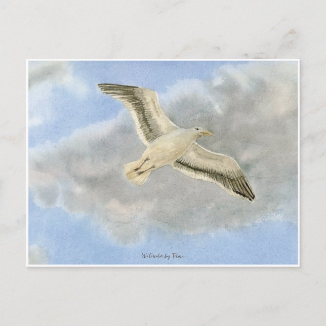 Seagull in the clouds watercolor postcard (Front)