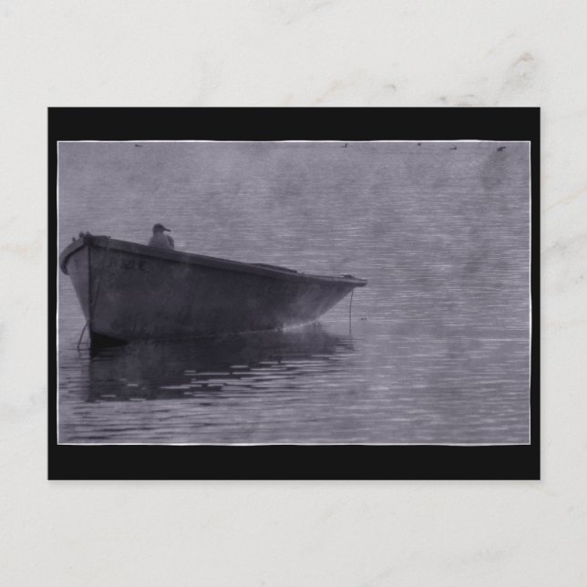 Seagull In The Mist. Postcard (Front)
