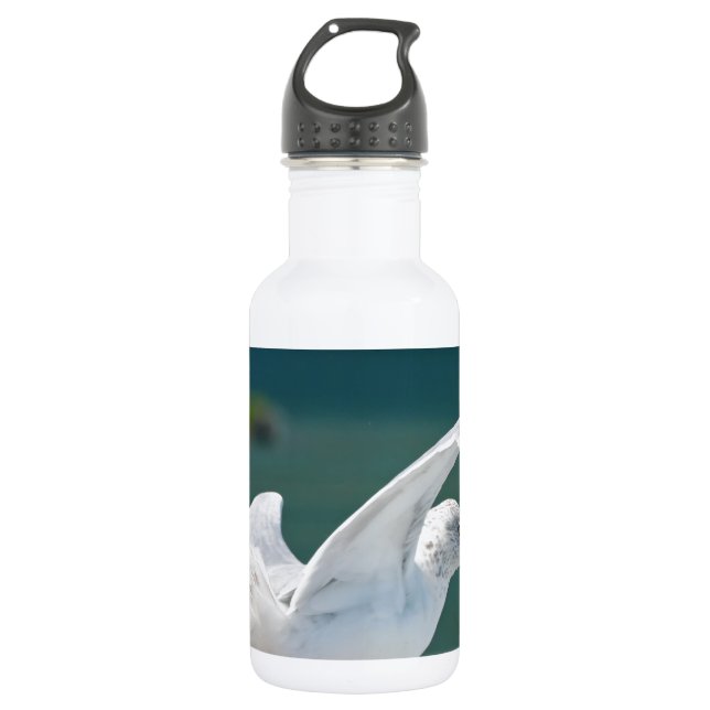 Seagull.JPG 532 Ml Water Bottle (Front)