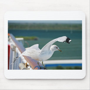 Seagull.JPG Mouse Mat