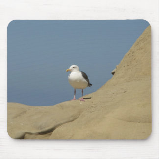 Seagull, La Jolla, California Mouse Mat