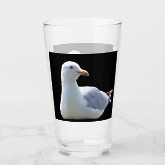 Seagull Laying Down  Glass