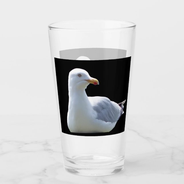 Seagull Laying Down  Glass (Front)